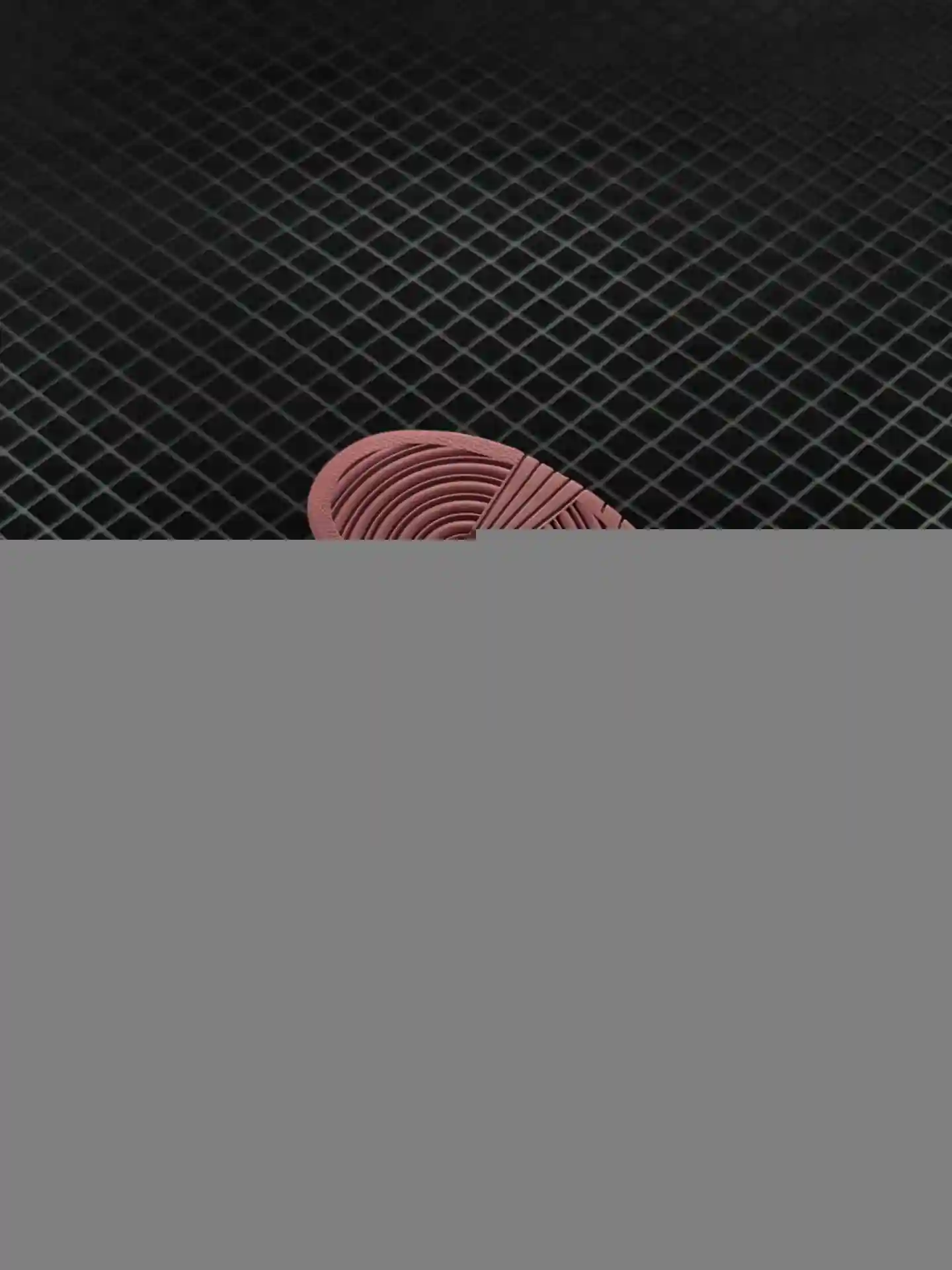 wsxc1699197230995_5.webp