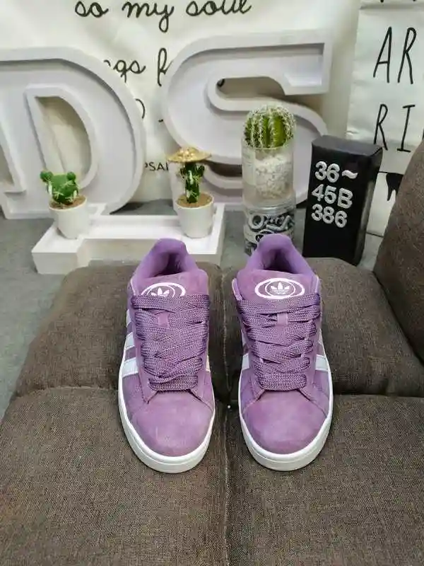 IMG_20231106_164623.webp