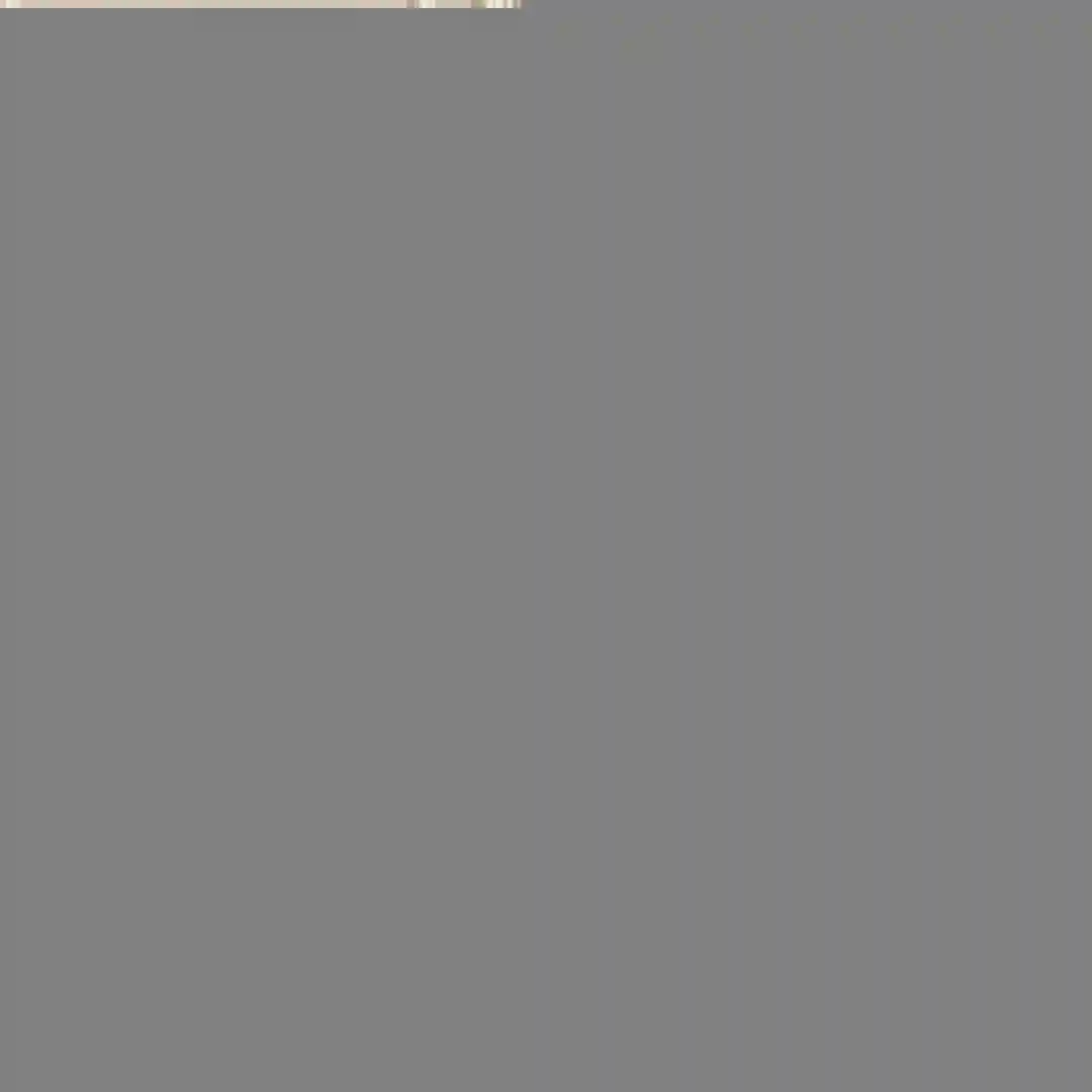 KK01950 (3).webp
