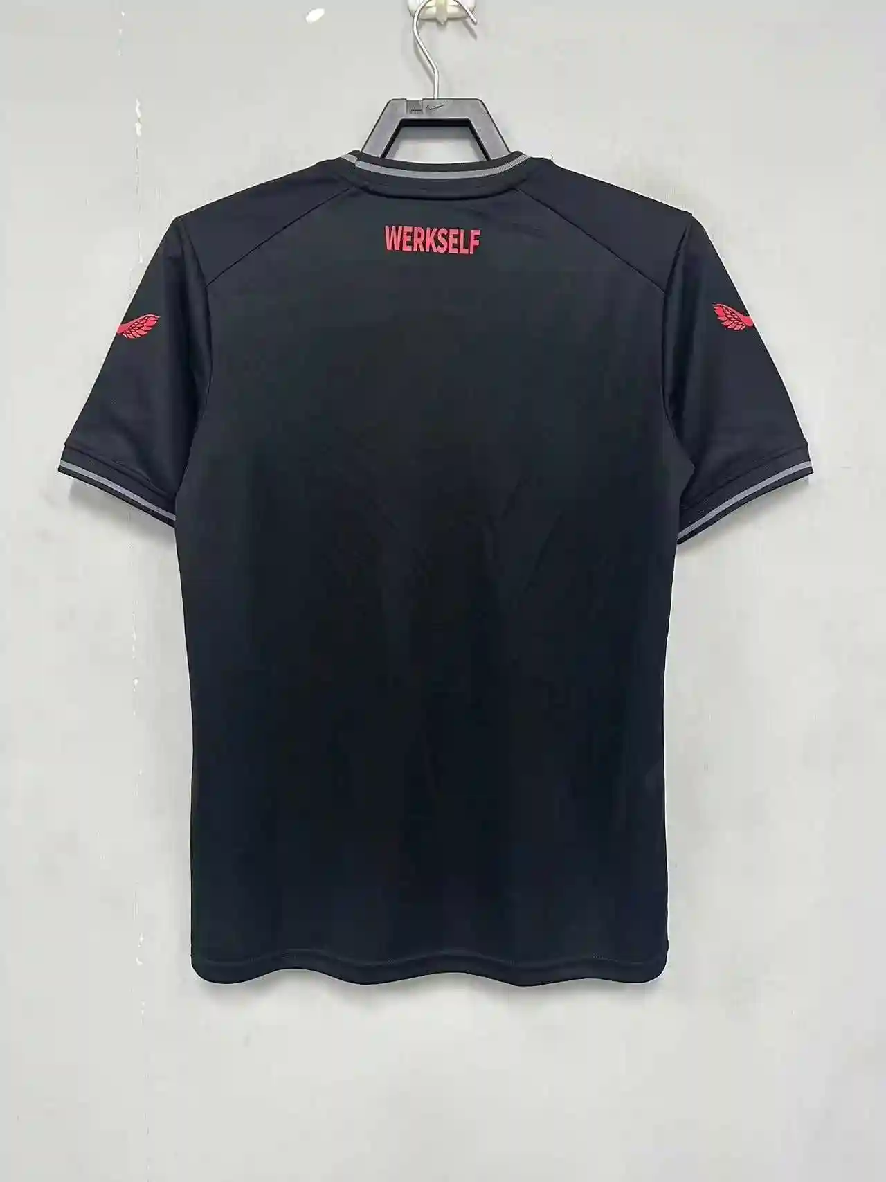 勒沃库森主场1.webp