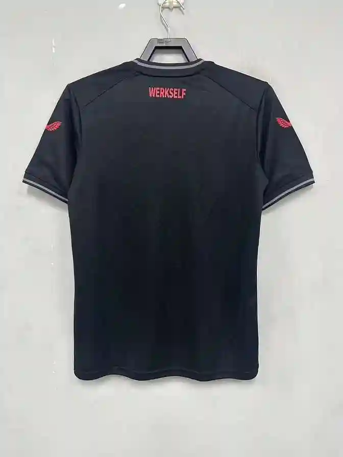 勒沃库森主场1.webp