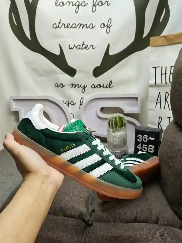 IMG_20231117_233423.webp