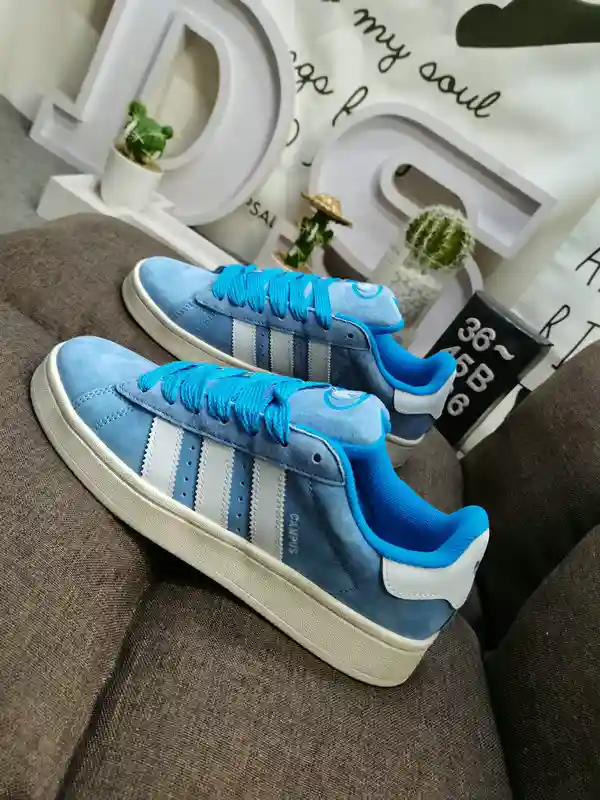 IMG_20231116_170224.webp