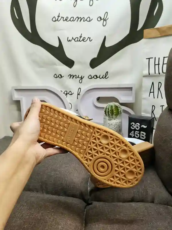 IMG_20231122_010206.webp