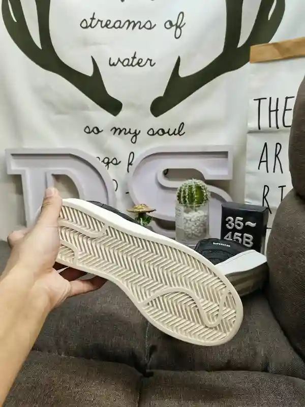 IMG_20231121_003355.webp