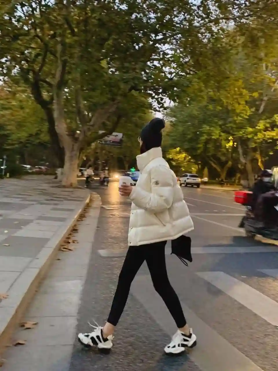 13315425346074260.webp