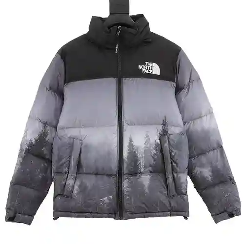 Chaqueta de plumas TNF North Face 1996
