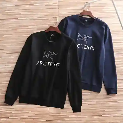 Sudadera polar A*RC Arc'teryx hombre