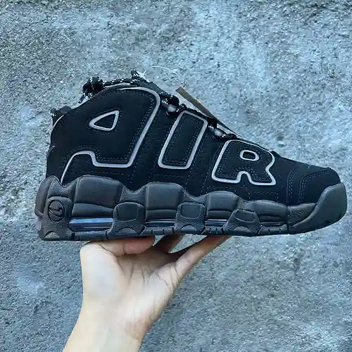 Pippen (15) borde negro y gris 36-45