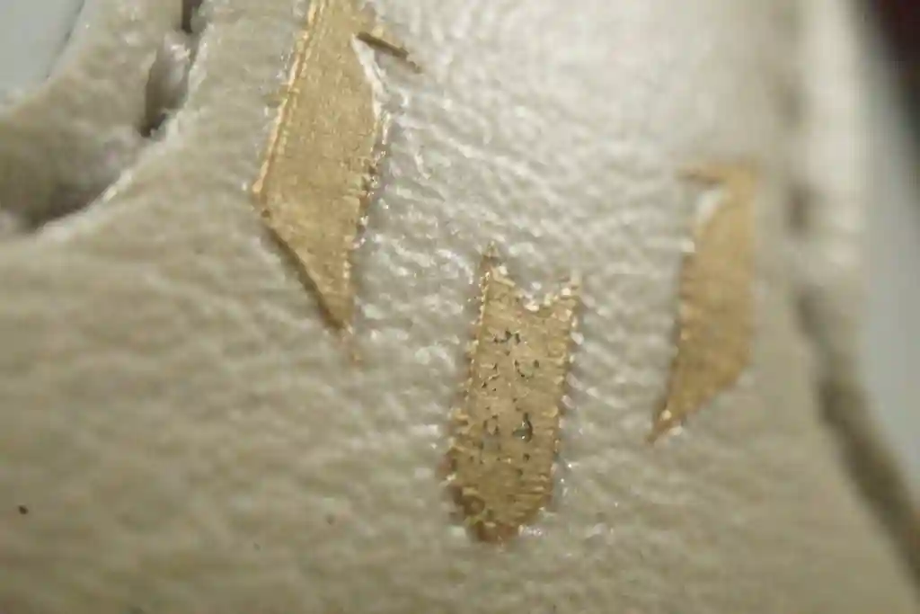 20231117081603696.webp