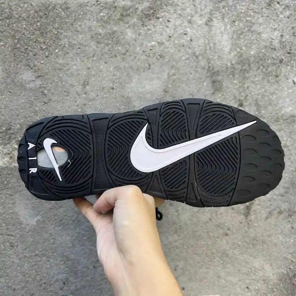 BD5A6D70-512D-4F43-9BDB-C8992339695A.webp