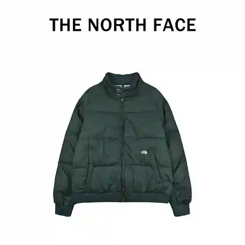 Chaqueta de plumas con cuello alto y etiqueta morada 23Fw de TNF/North Face