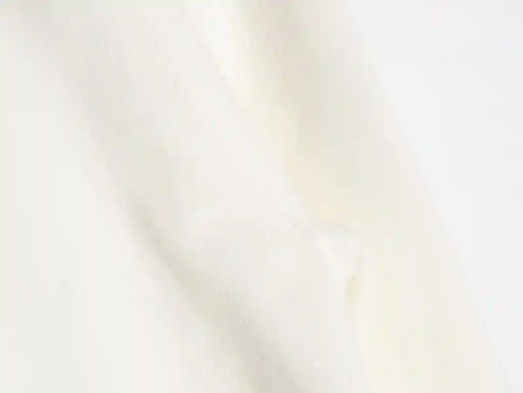 wsxc1701225110077_6.webp