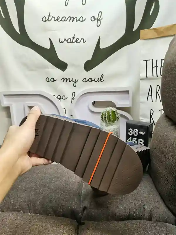 IMG_20231129_003746.webp