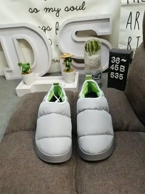 IMG_20231201_001815.webp