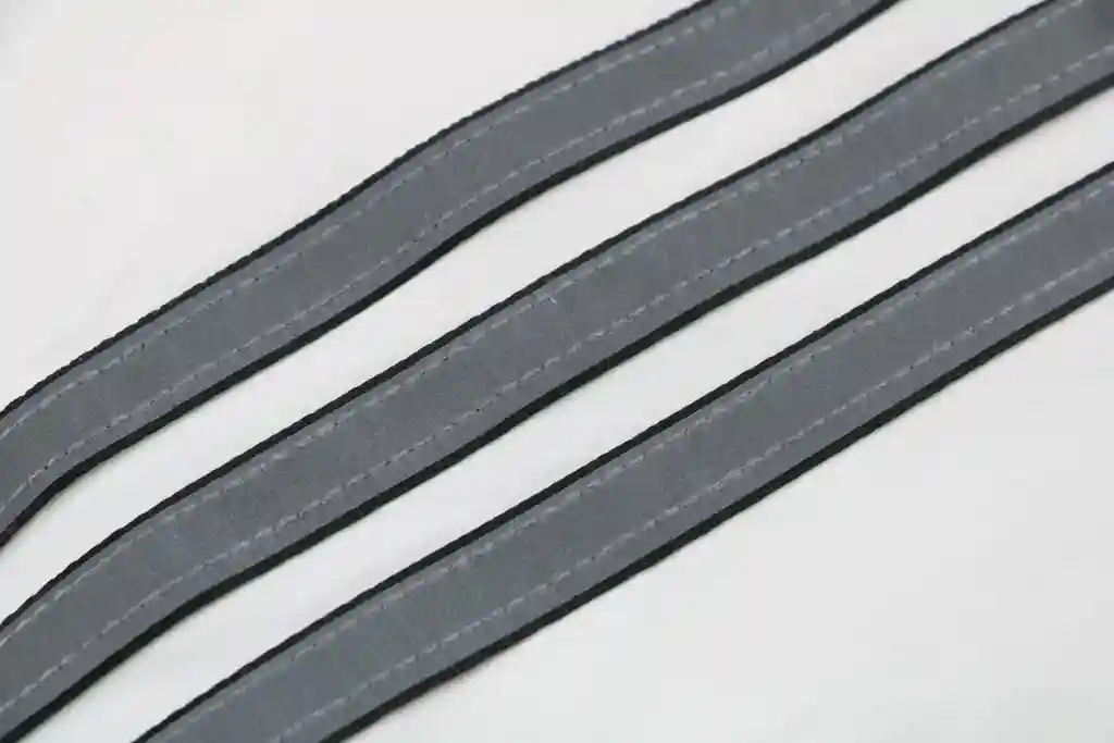 IMG_1504.webp
