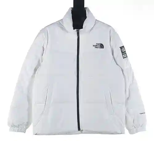 Chaqueta de plumas con logo en color liso TNF 23Fw de North Face