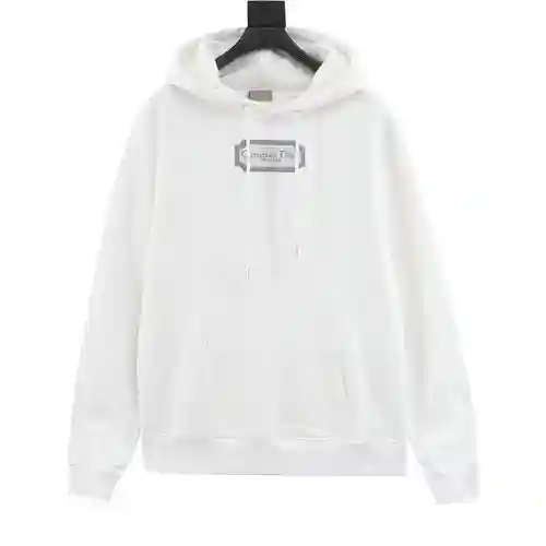 Sudadera con capucha y etiqueta plateada bordada CD 22Fw