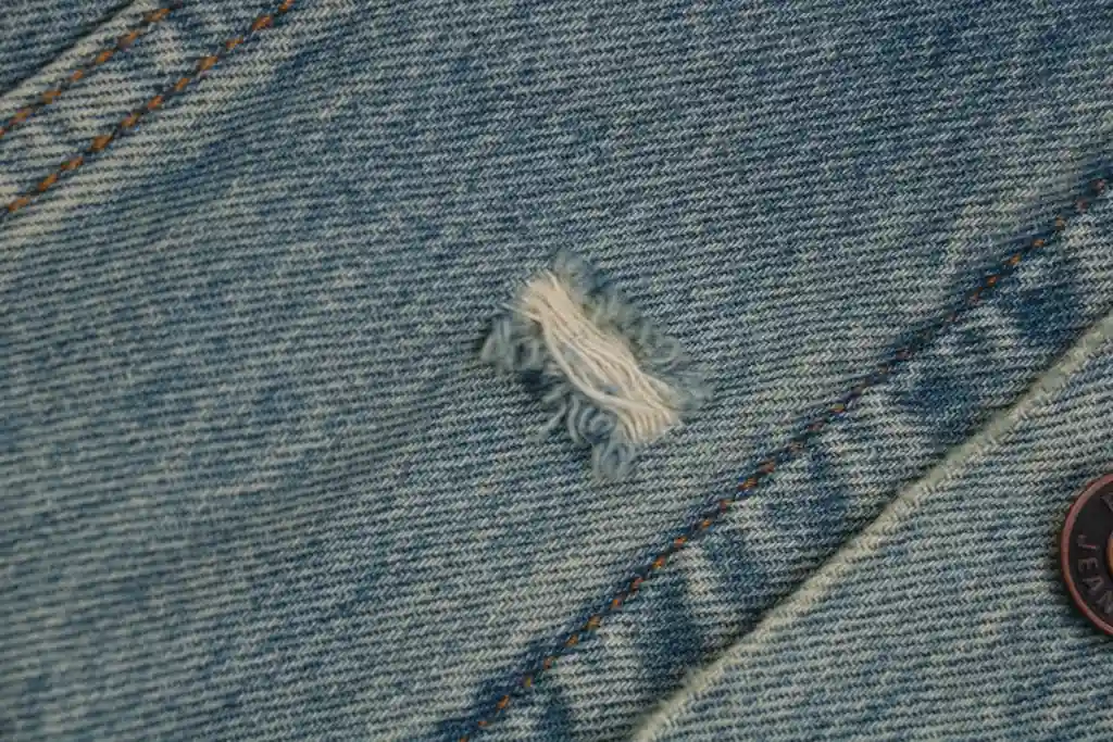 IMG_1409.webp