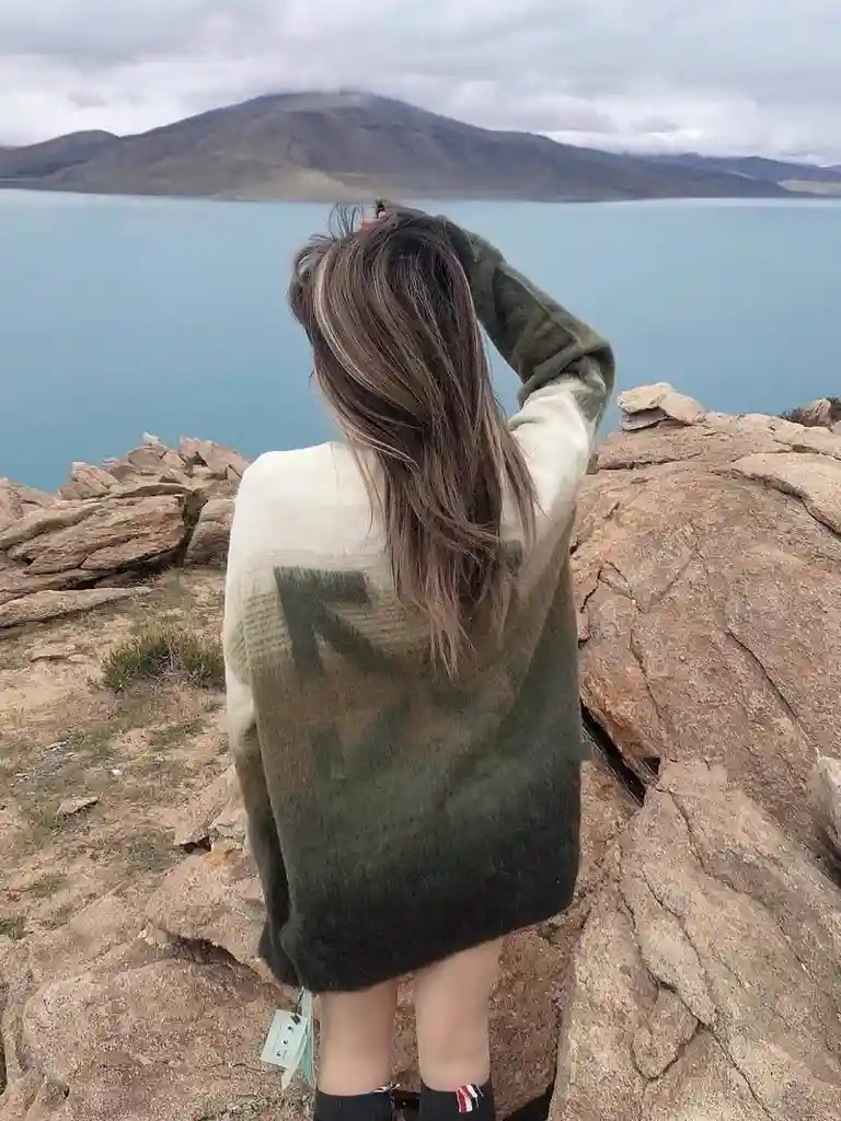 wsxc1701979014481_0.webp
