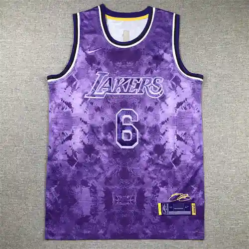 Camiseta de baloncesto Lakers No. 6 James Flower Purple edición selecta