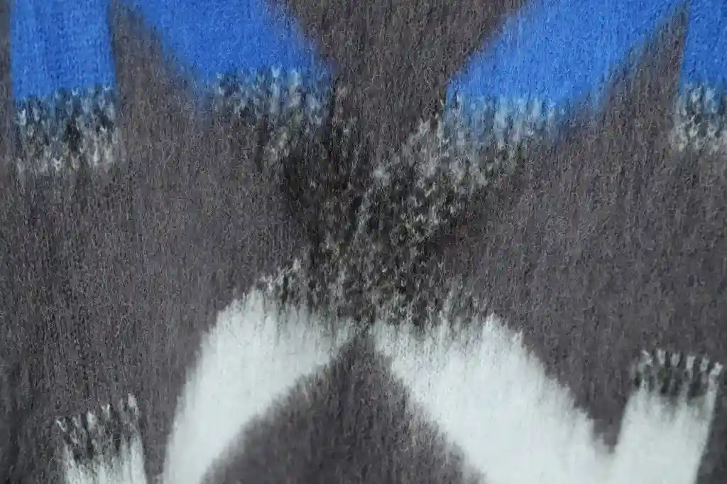 wsxc1701978233856_5.webp