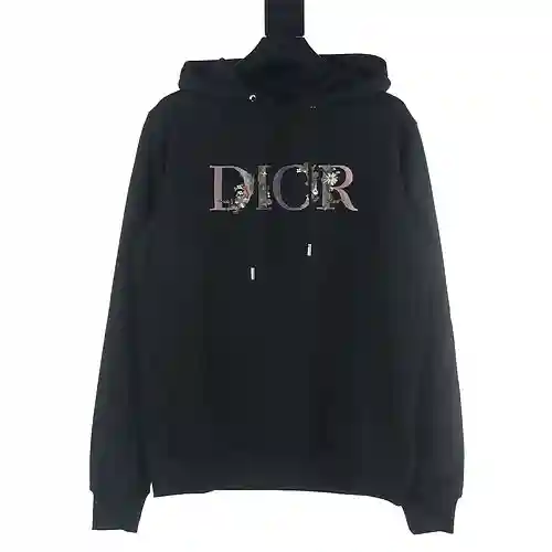 Dior CD 22Fw sudadera con capucha y bordado floral degradado