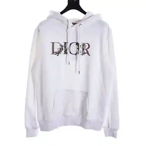 CD sudadera con capucha y bordado floral degradado