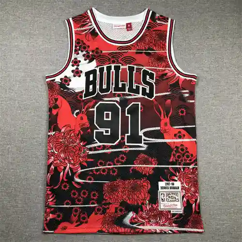 Bulls 91 Rodman Año del Conejo Edición Limitada Rojo Mitchell MN Retro
