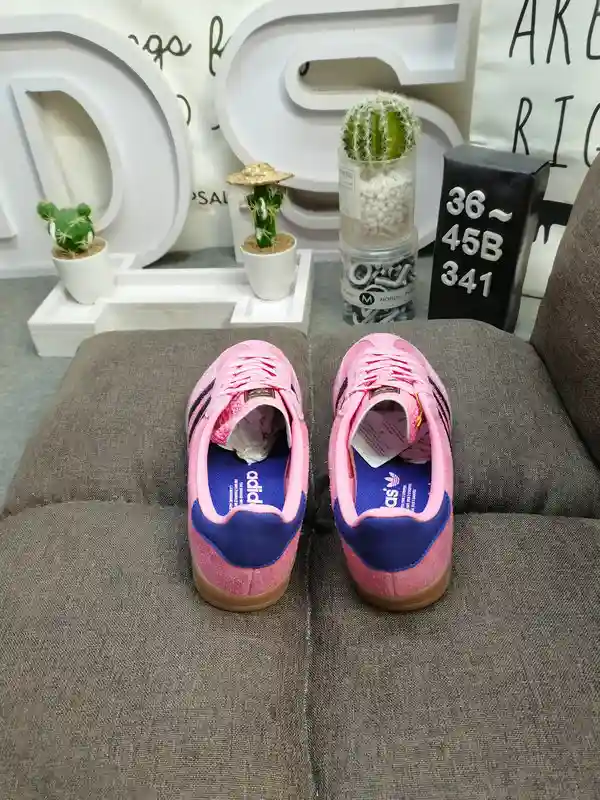 IMG_20231216_234326.webp