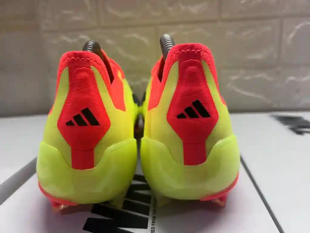 微信图片_202312152129061.webp