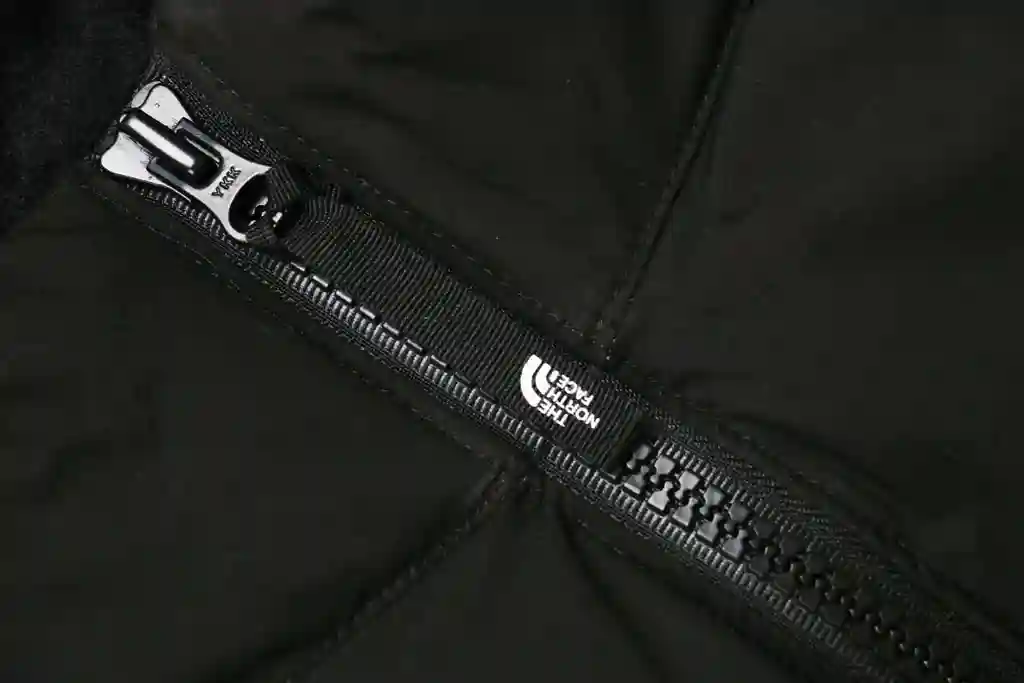 IMG_2387.webp
