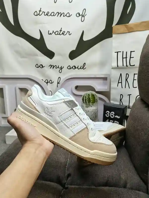 IMG_20231217_235514.webp