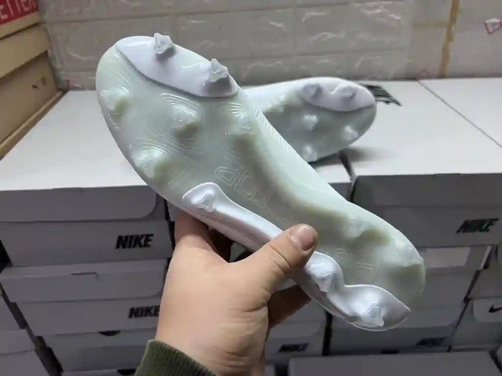 微信图片_202312132159251.webp