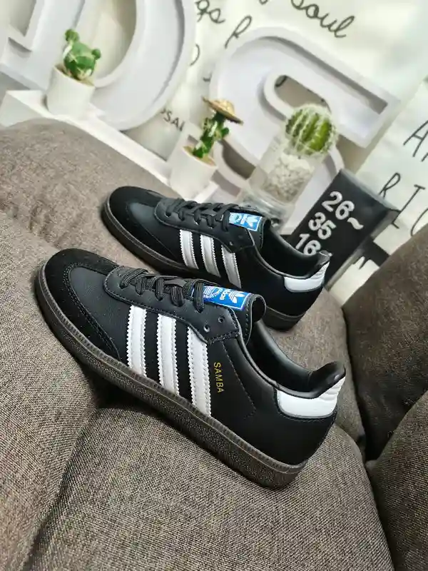 IMG_20231223_235517.webp