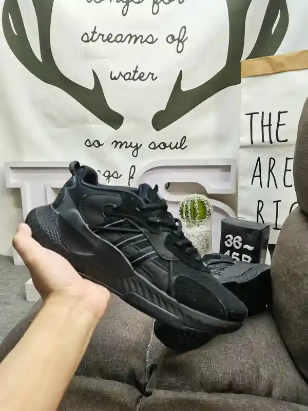 IMG_20231221_213648.webp