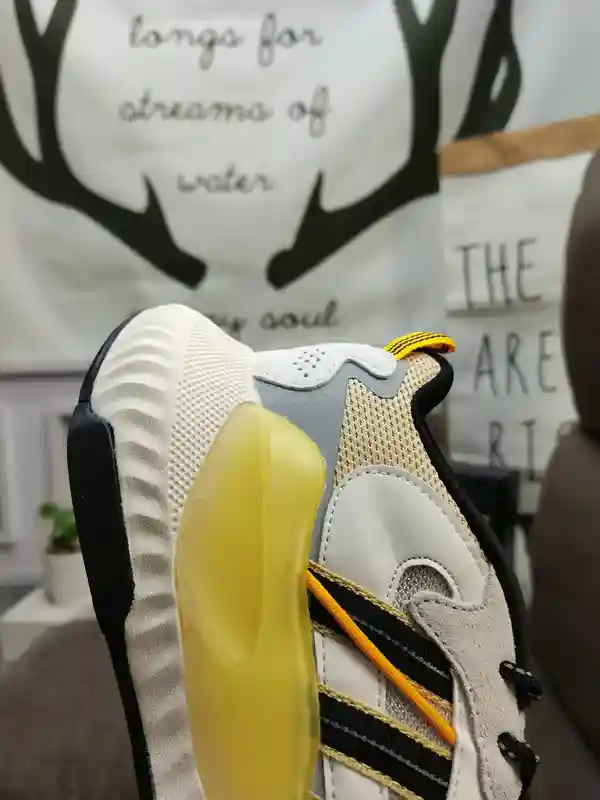 IMG_20231221_214107.webp