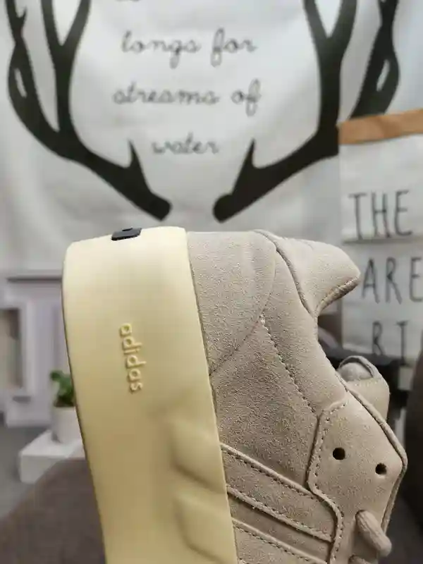 IMG_20231218_220456.webp