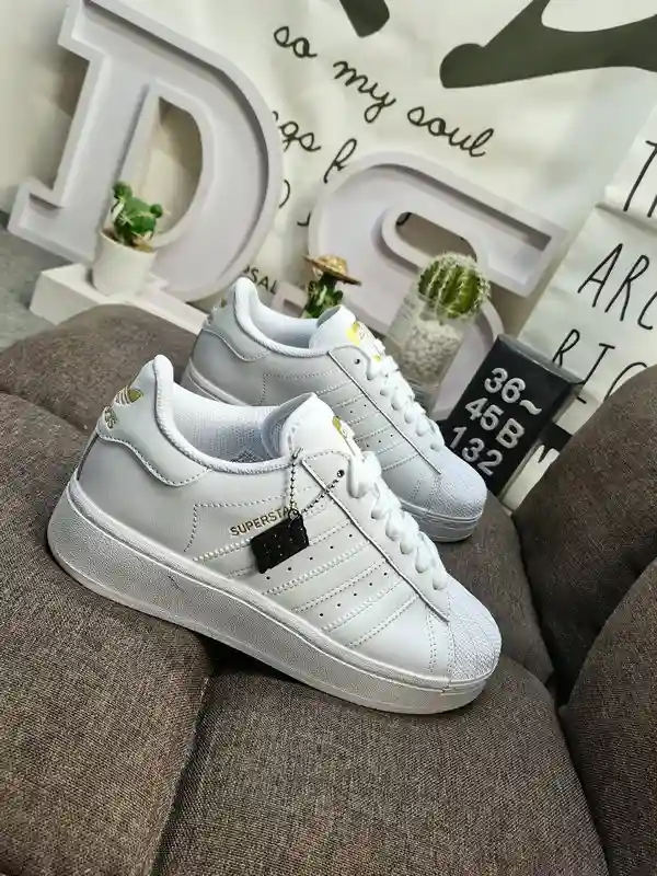 IMG_20231219_001331.webp
