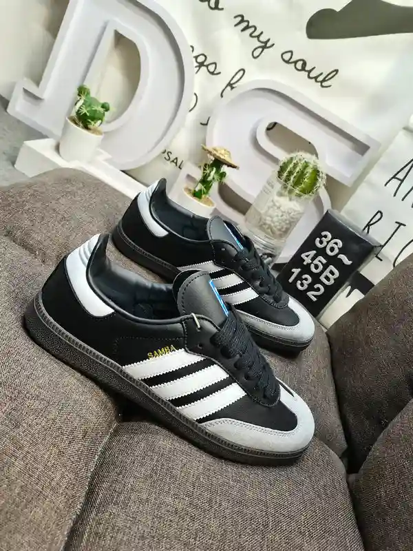IMG_20231220_002849.webp