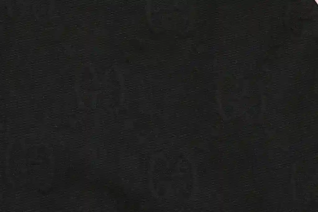 IMG_8509.webp