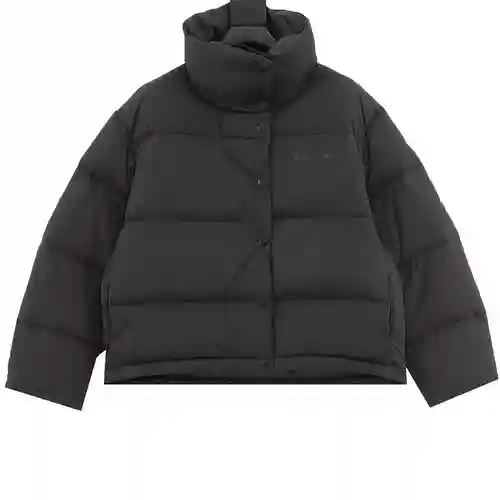 Ac*ne Studio 23FW chaqueta de plumas con cuello alto