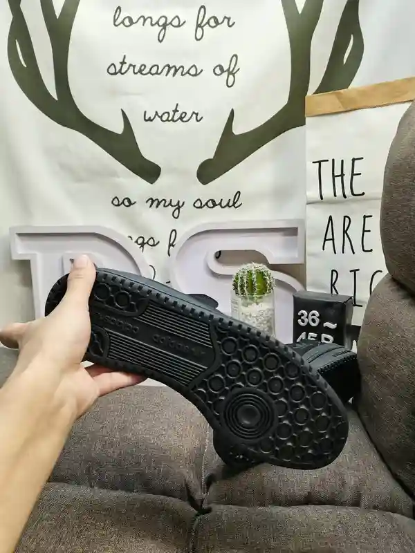 IMG_20231229_220704.webp