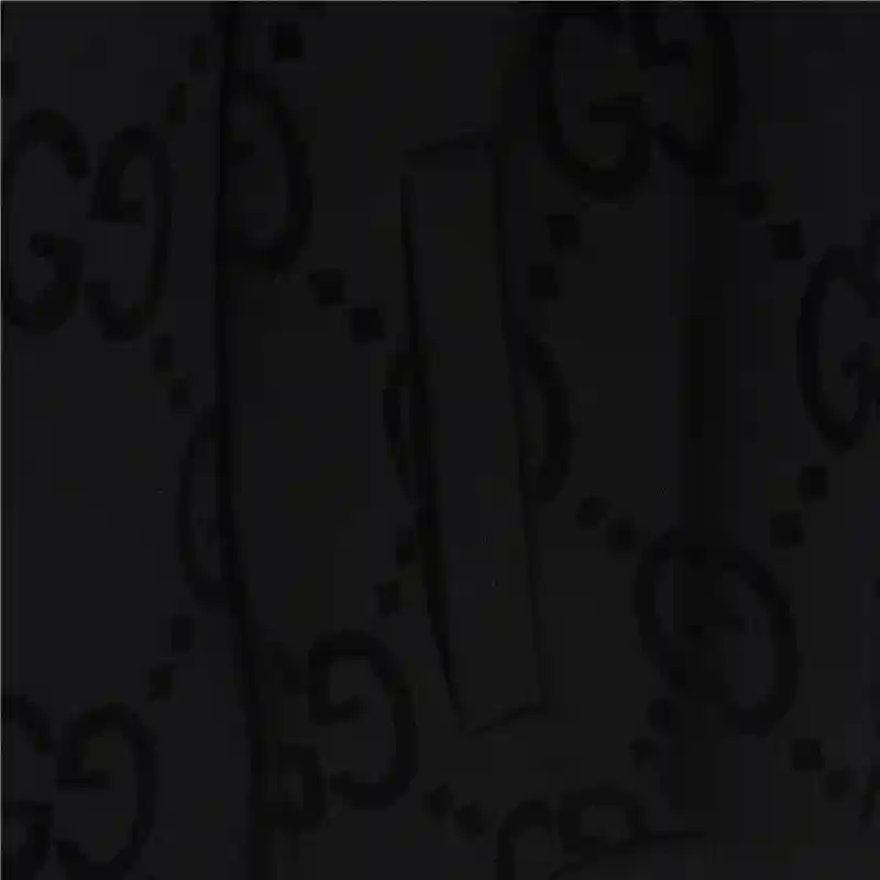 wsxc1702660925476_3.webp