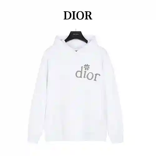 Sudadera con capucha de algodón con letras de flores bordadas y modelo conjunto CD Dior X ERL