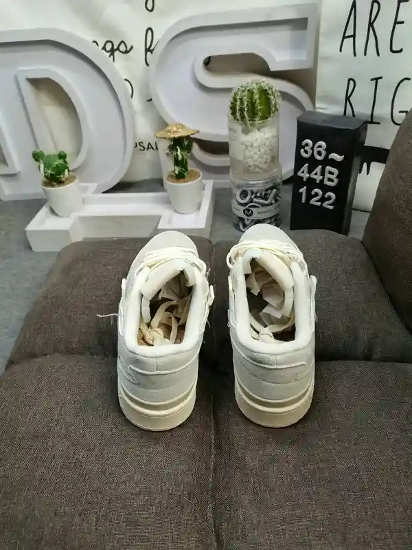 IMG_20231230_215211.webp