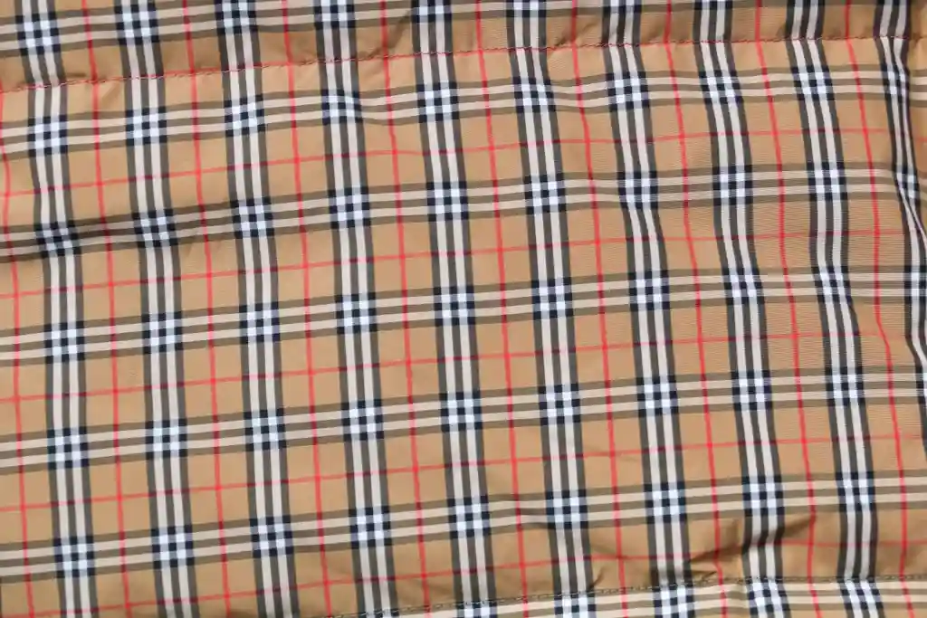 IMG_2559.webp