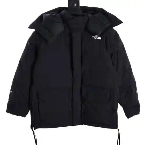 TNF/North Face 23fw chaqueta de plumón resistente al viento e impermeable con etiqueta púrpura japon