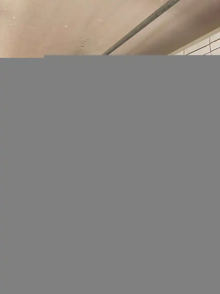 wsxc1705505017408_3.webp