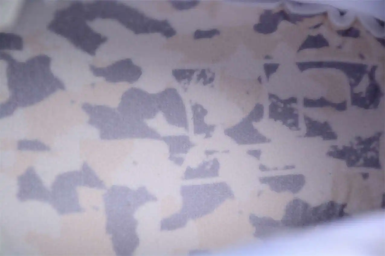 DSC_4793.webp